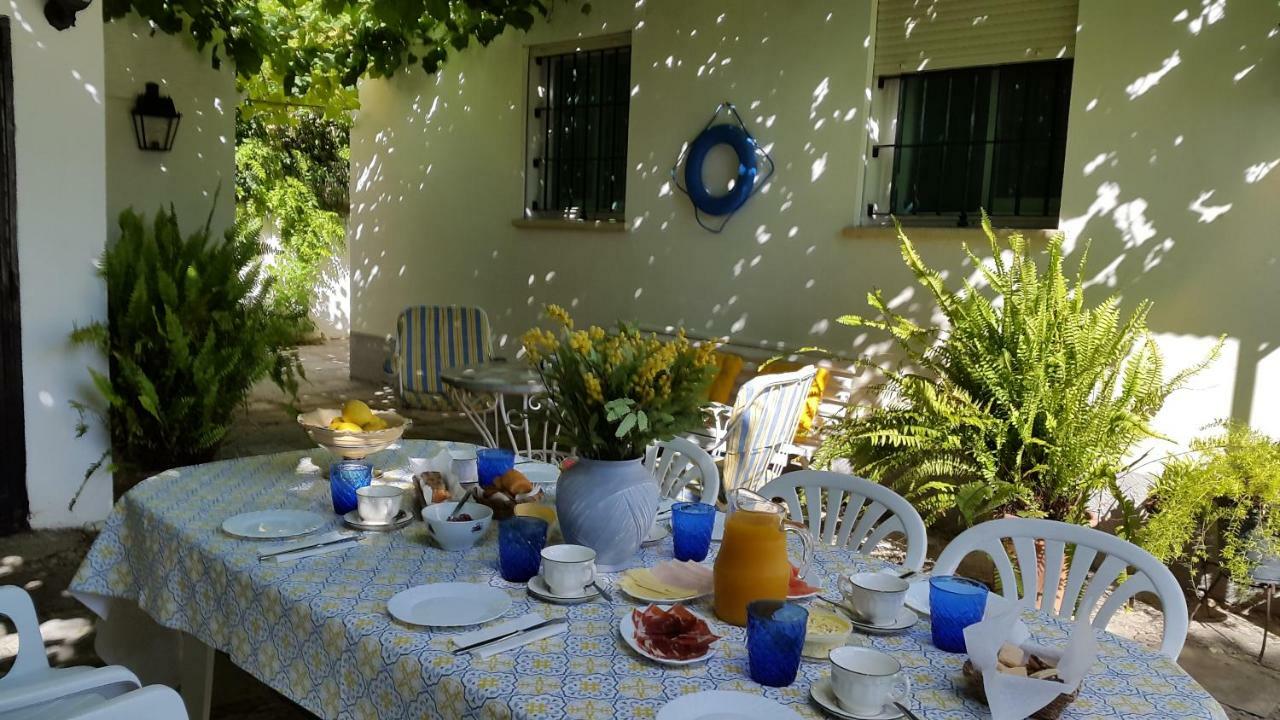 Chalet Junto Playa Y Centro Sanlucar de Barrameda Luaran gambar